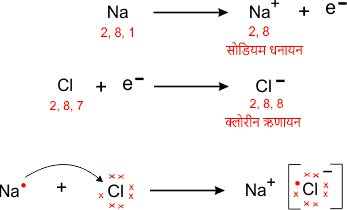 Class 10 Science chapter 3 notes in Hindi